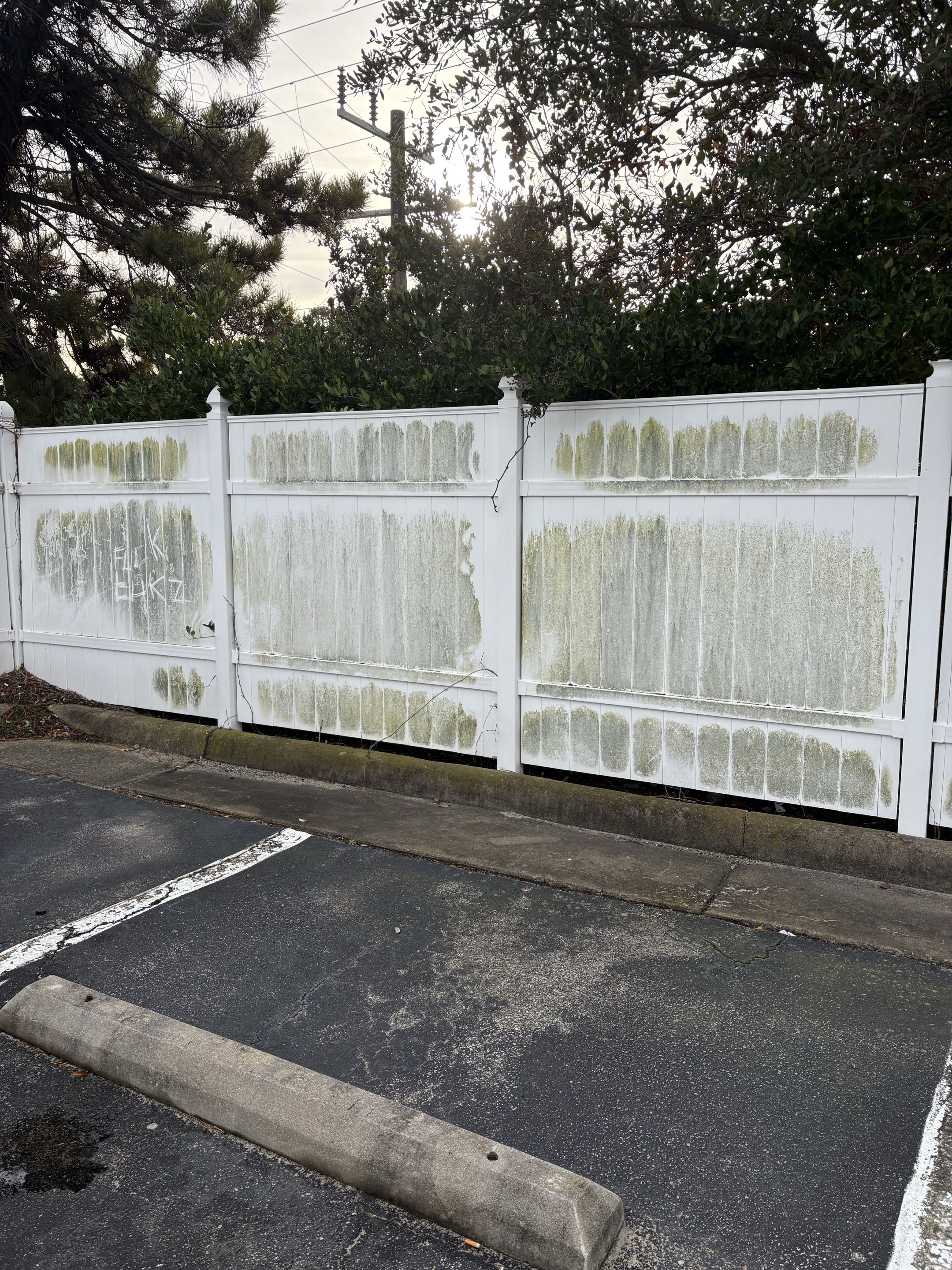 Gutter Cleaning