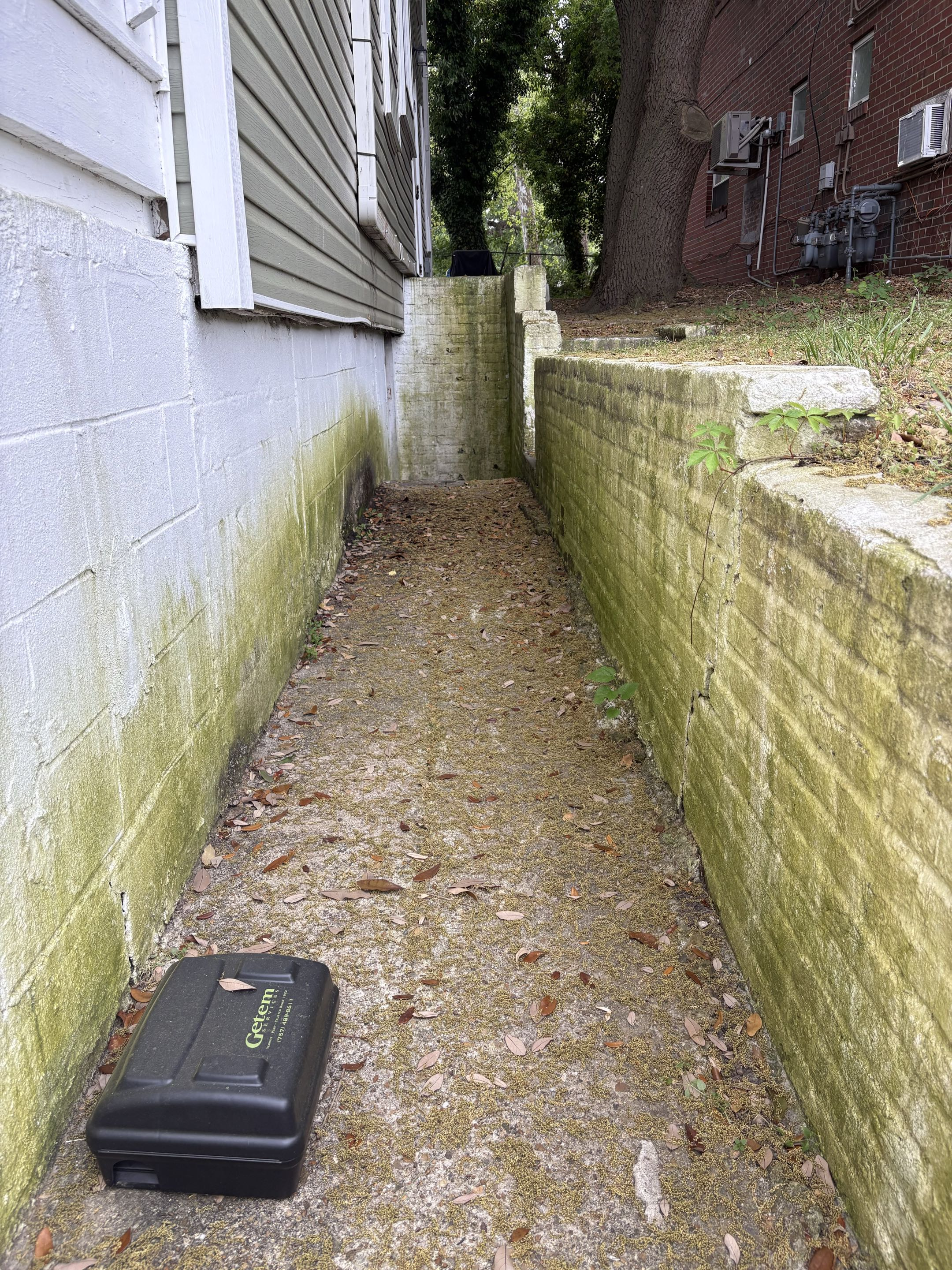 Driveway Cleaning